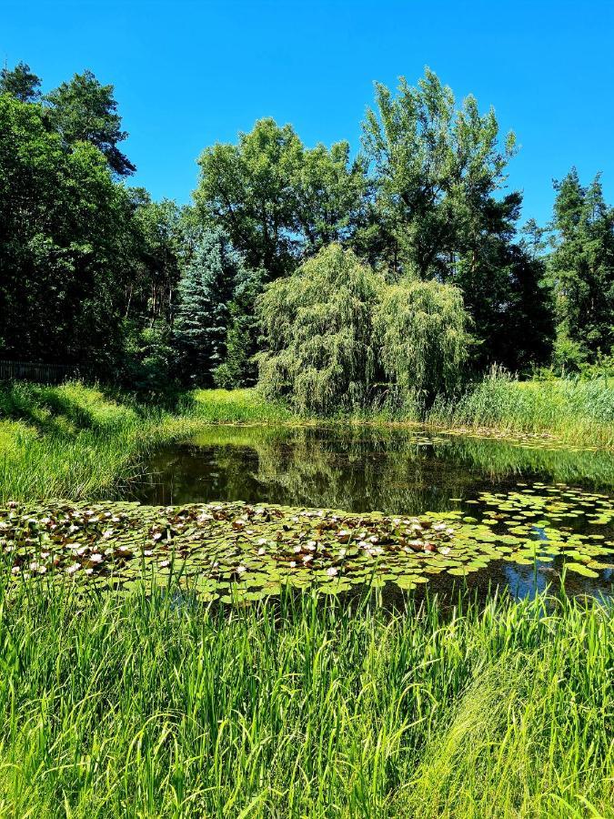 Wrzosowe Siedlisko Villa Czosnów Dış mekan fotoğraf